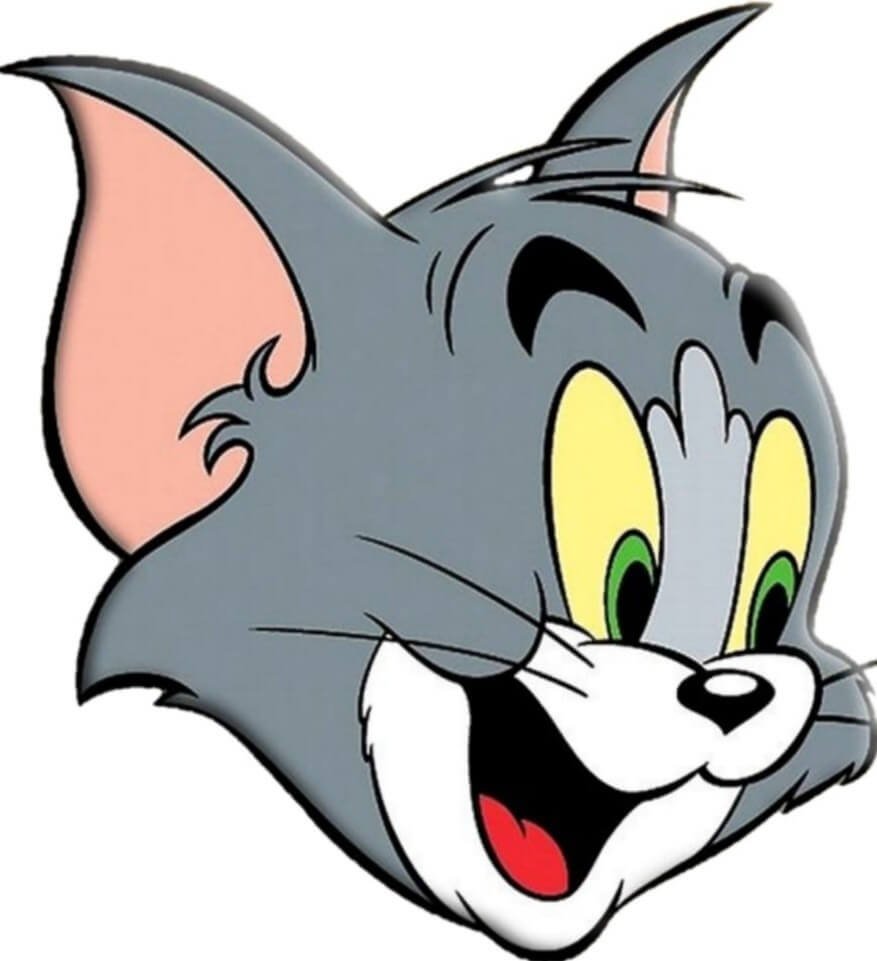 Tom And Jerry Pic