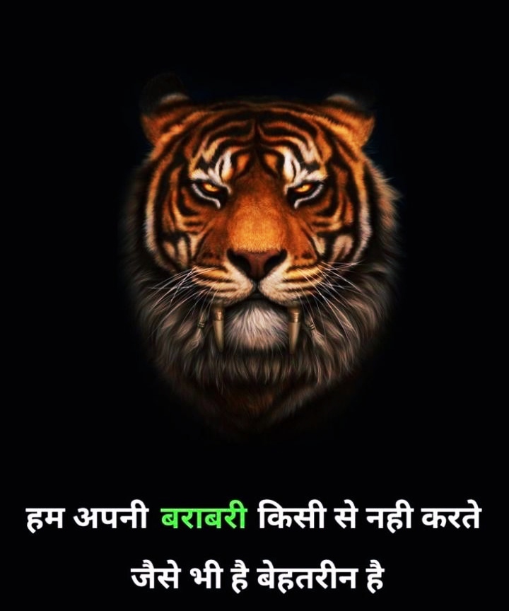 Best Attitude Quotes Images In Hindi