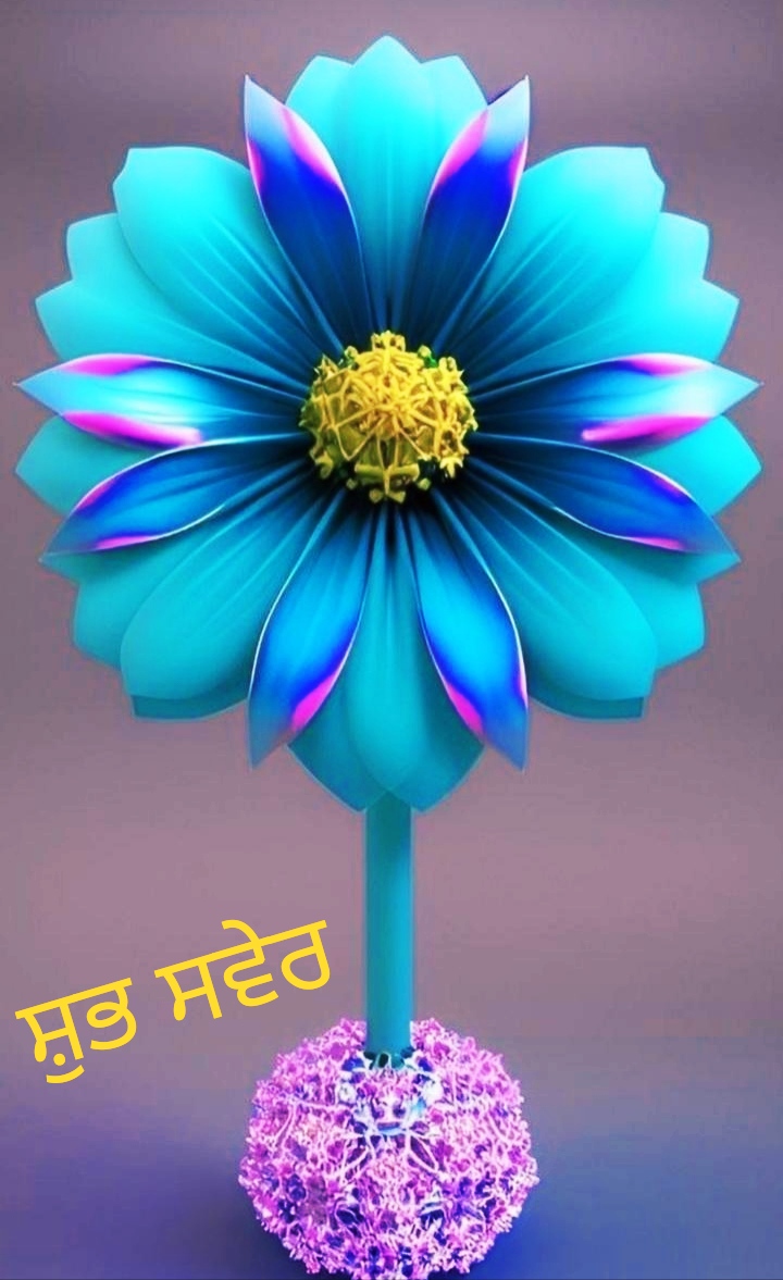 Flower Good Morning Images In Punjab