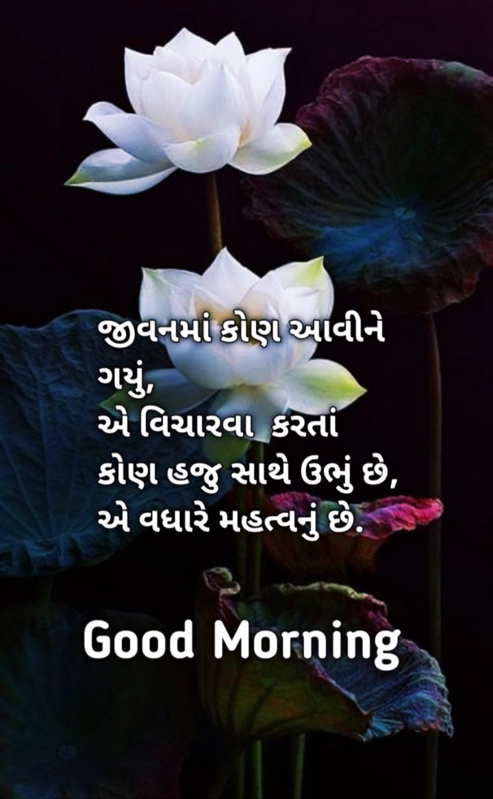 Good Morning Pictures In Gujarati