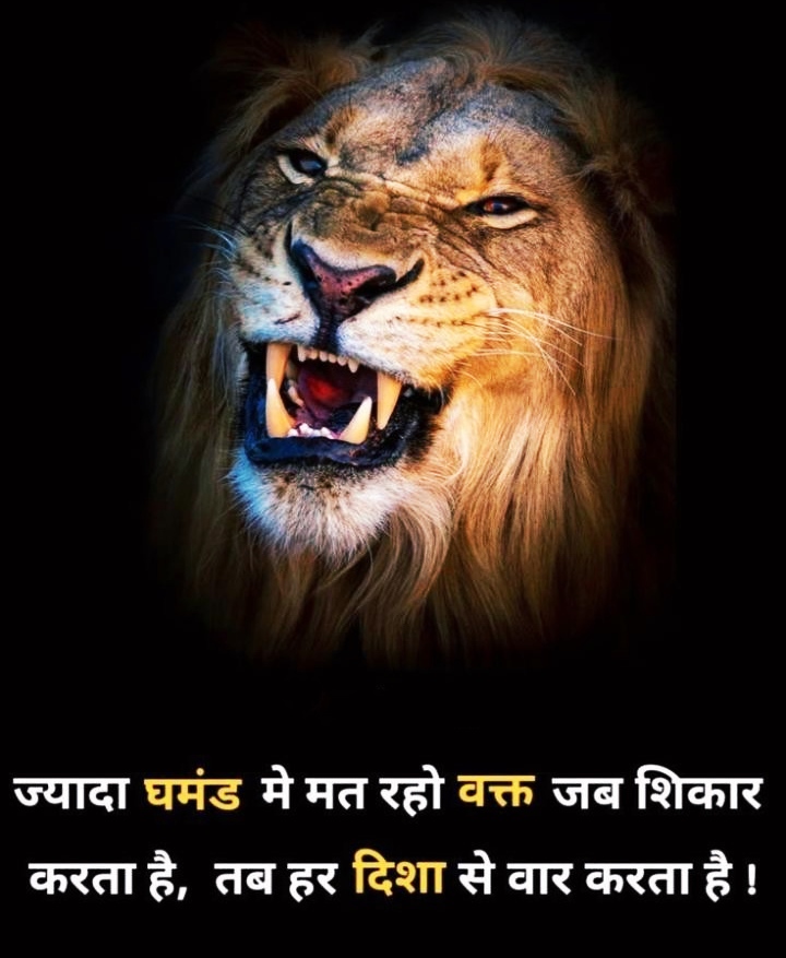 Lion Attitude Quotes Images In Hindi