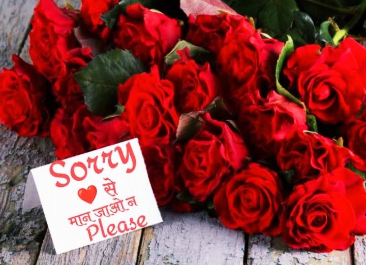 Sorry Images For Girlfriend Hd