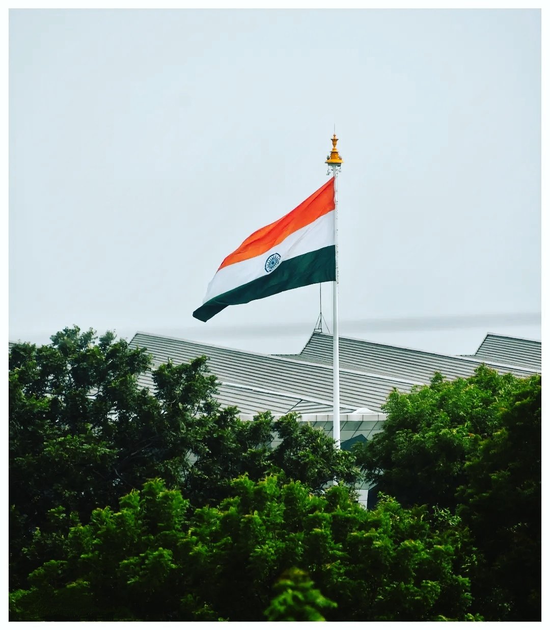 Tiranga Images