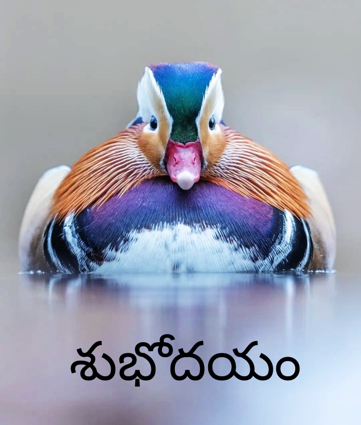 Telugu Good Morning Images Free Download