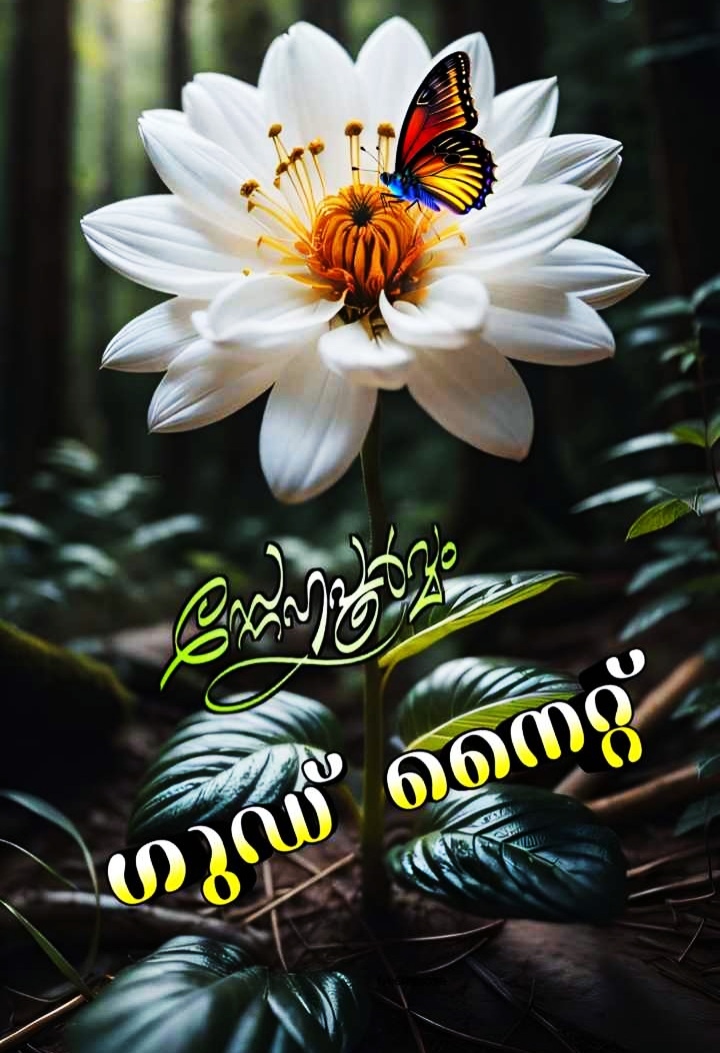 Cute Good Night Images Malayalam
