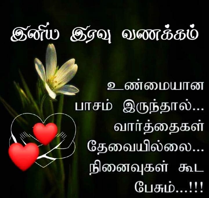 Friendship Good Night Images In Tamil