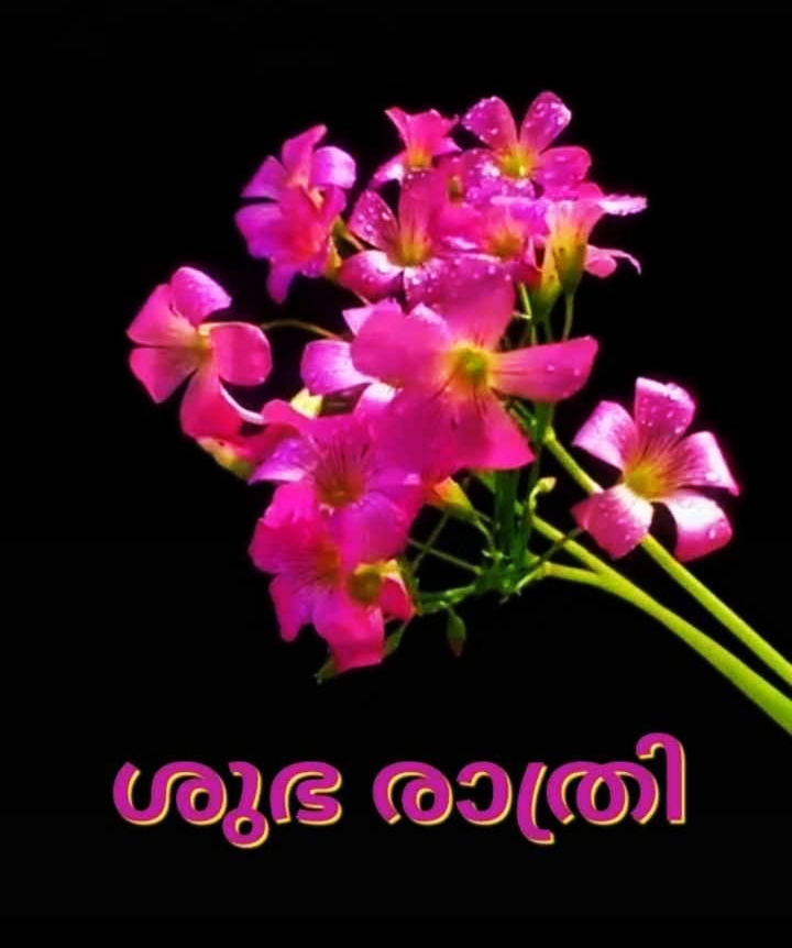Good Night Images Malayalam