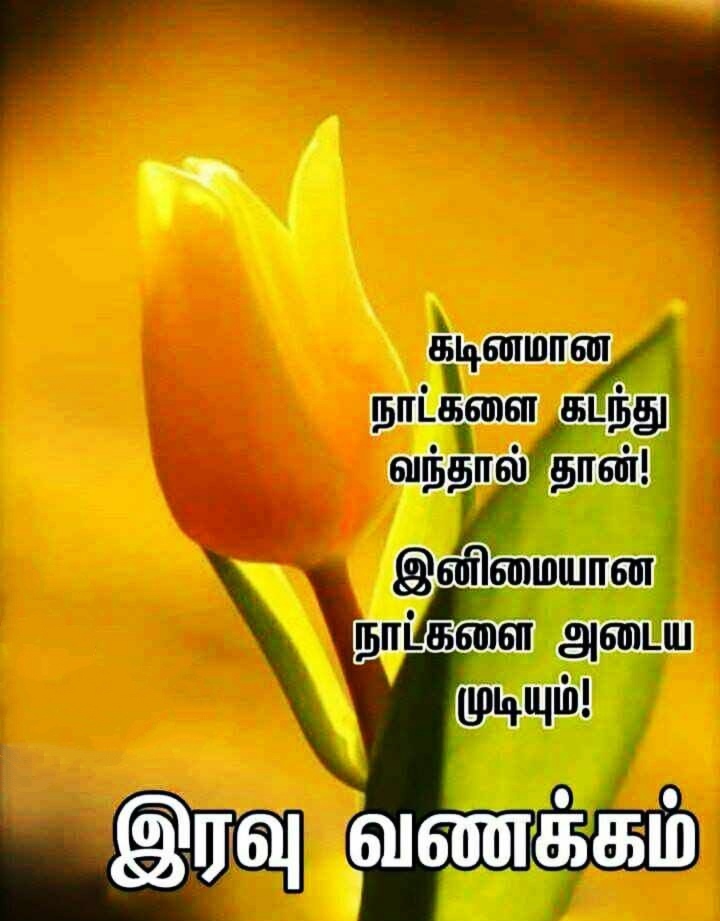 Love Good Night Images Tamil