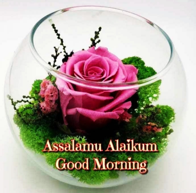 English Beautiful Assalamu Alaikum Images