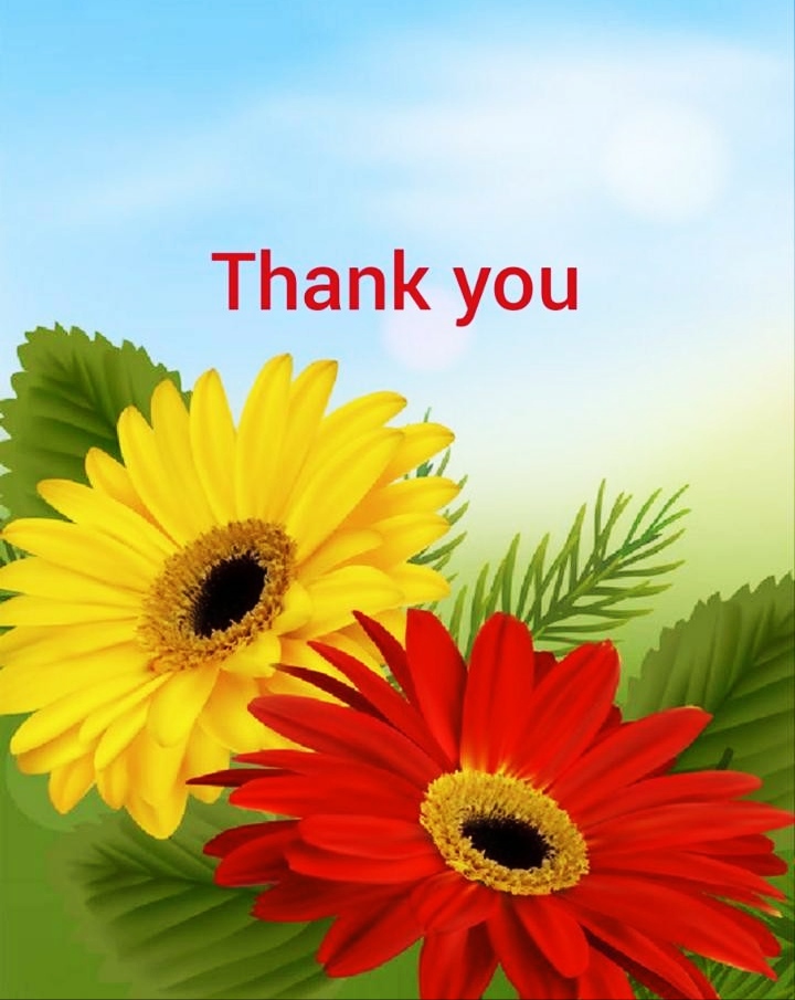 Powerpoint Presentation Thank You Images For PPT