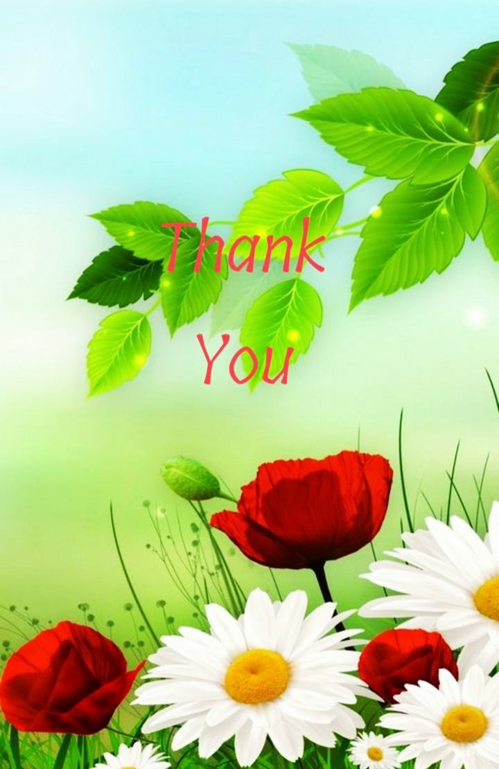 Thank You Image For PPT Presentation