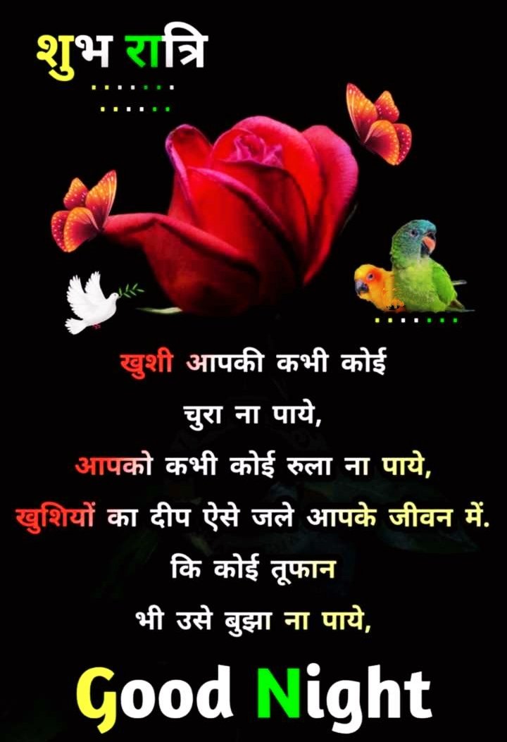 Shayari Good Night Photo