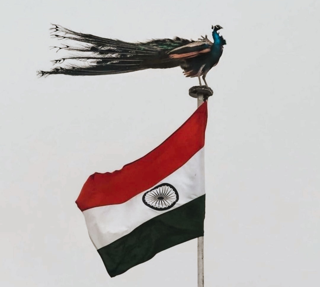 Indian Flag Images For DP
