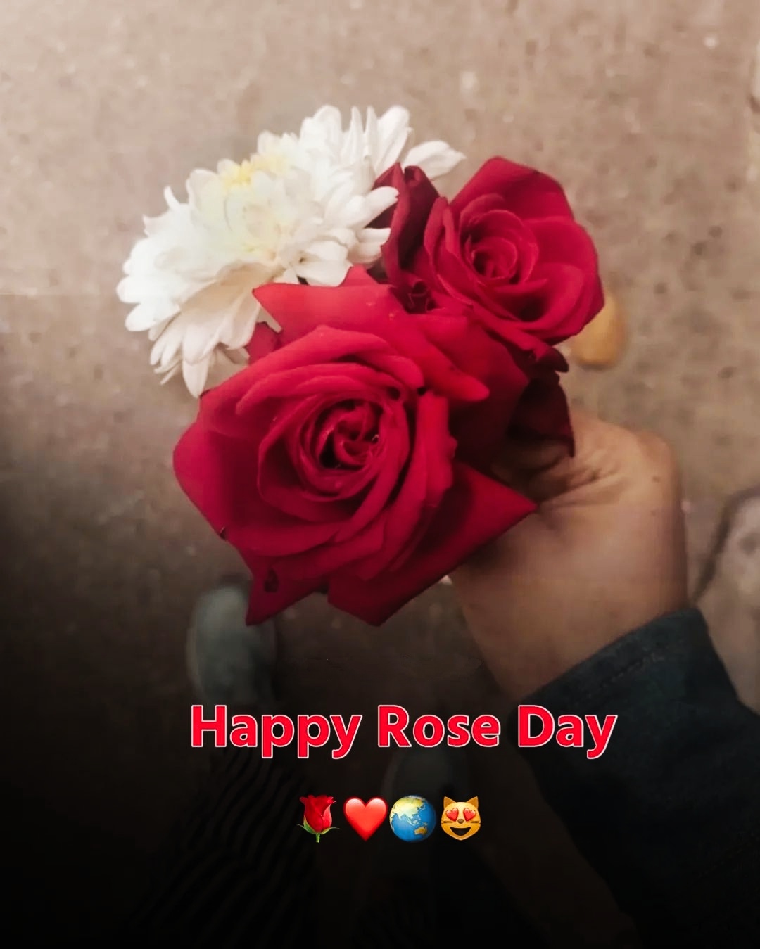 Happy Rose Day Photo