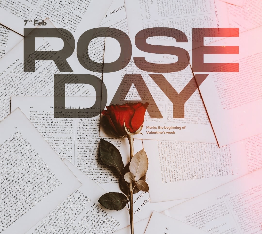 Rose Day Pic HD Rose Day Images