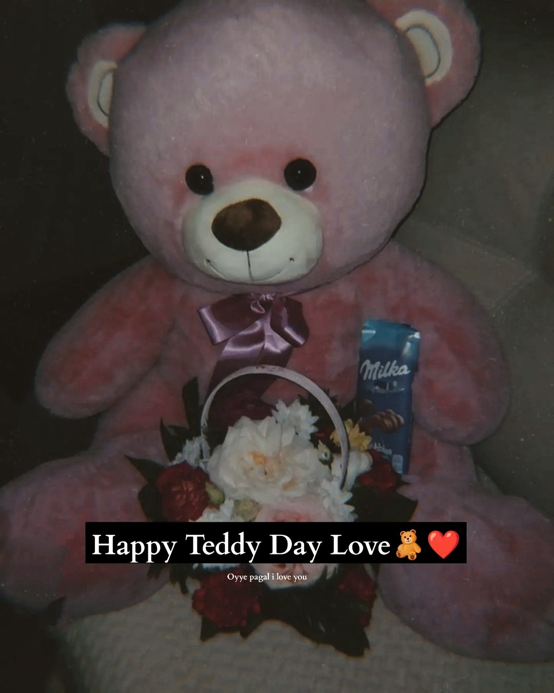 Teddy Day Photo