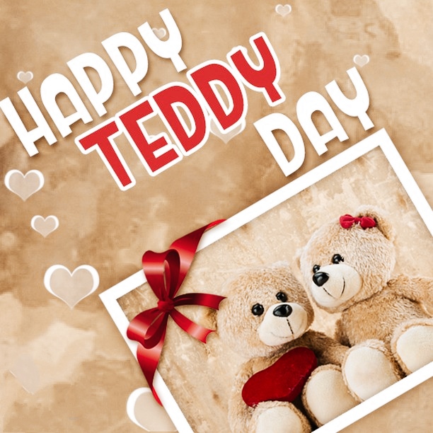 Teddy Day Pics