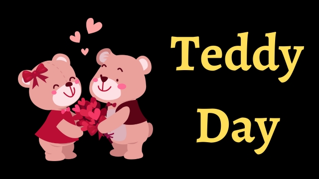 Teddy Day Images